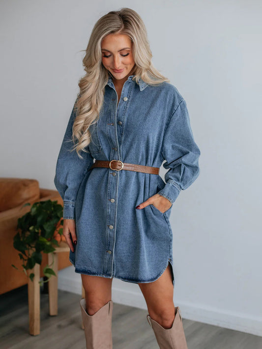 Button Up Denim Dress